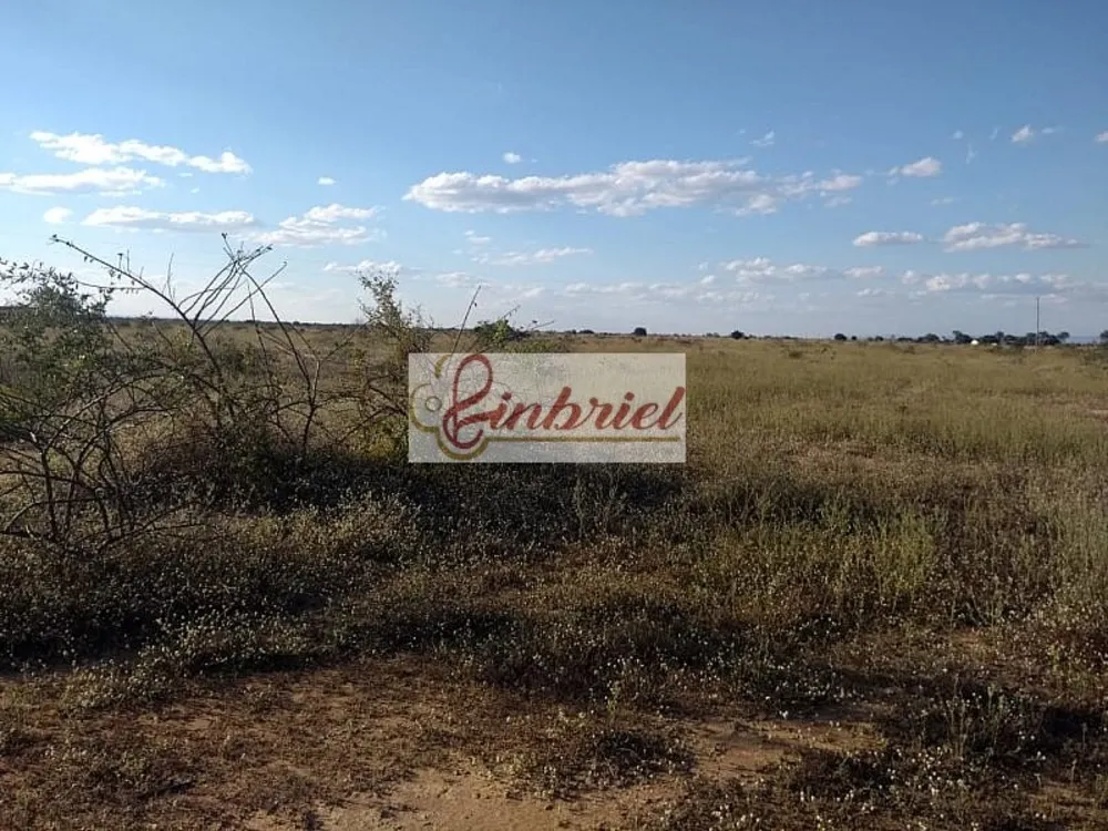 Fazenda, 1800 hectares - Foto 4
