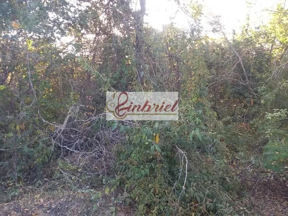 Fazenda, 1800 hectares - Foto 7