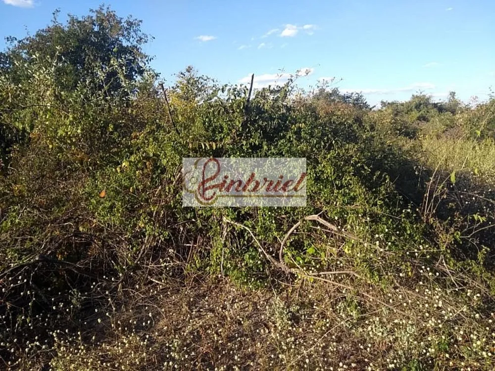 Fazenda, 1800 hectares - Foto 5