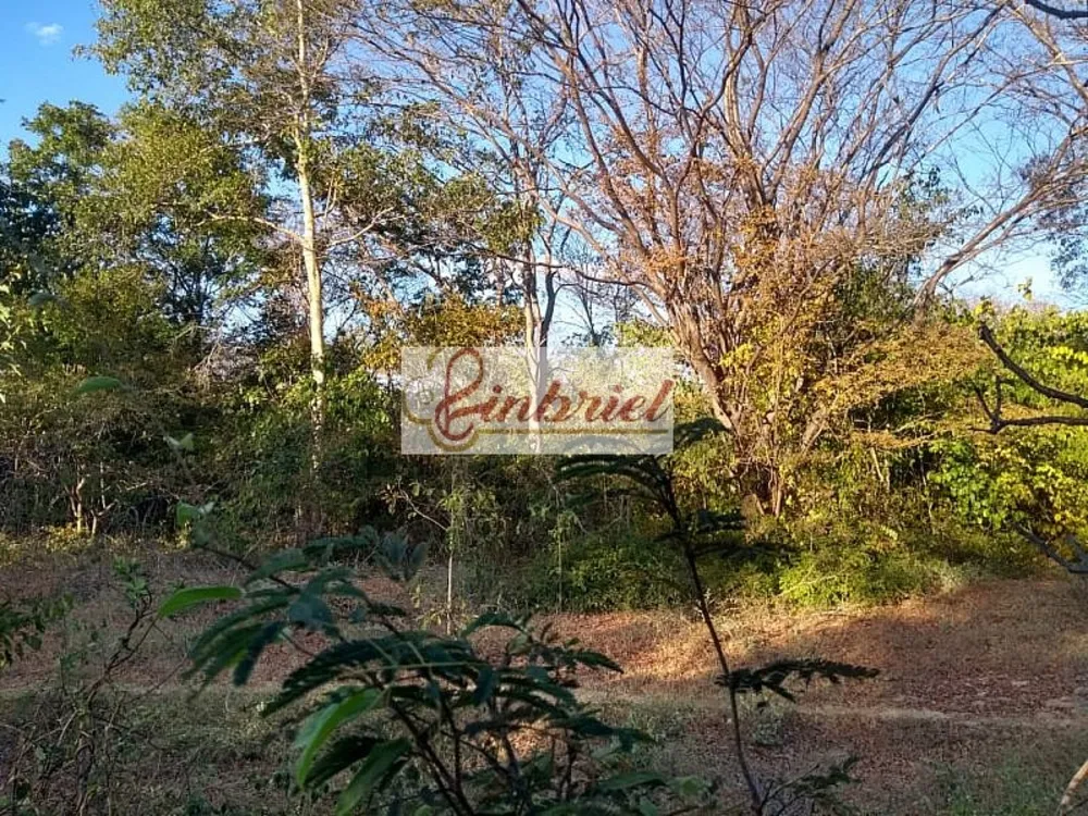 Fazenda, 1800 hectares - Foto 3