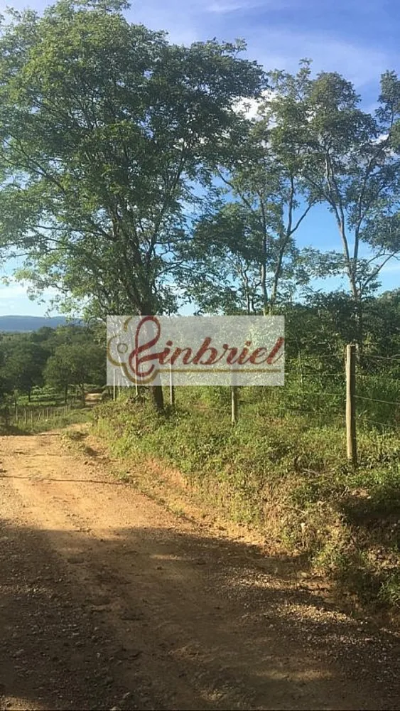 Terreno, 3 hectares - Foto 3