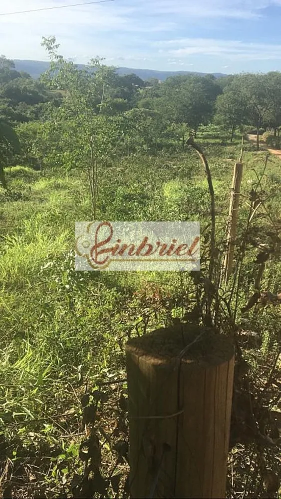 Terreno, 3 hectares - Foto 6