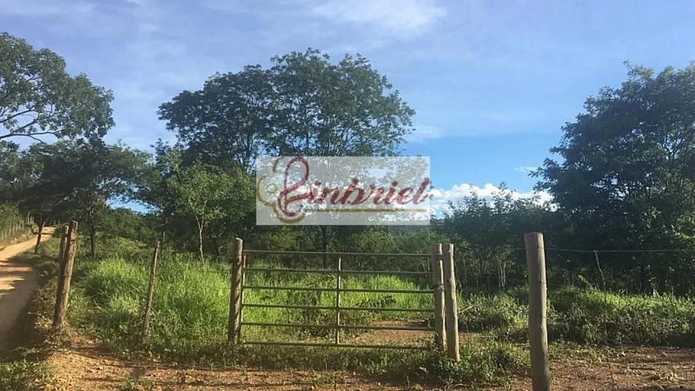 Terreno, 3 hectares - Foto 1