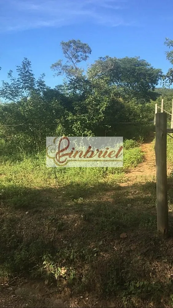 Terreno, 3 hectares - Foto 4