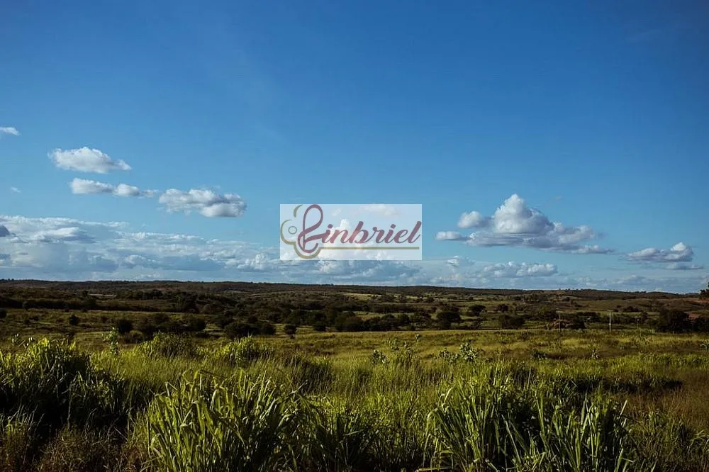 Fazenda, 570 hectares - Foto 8
