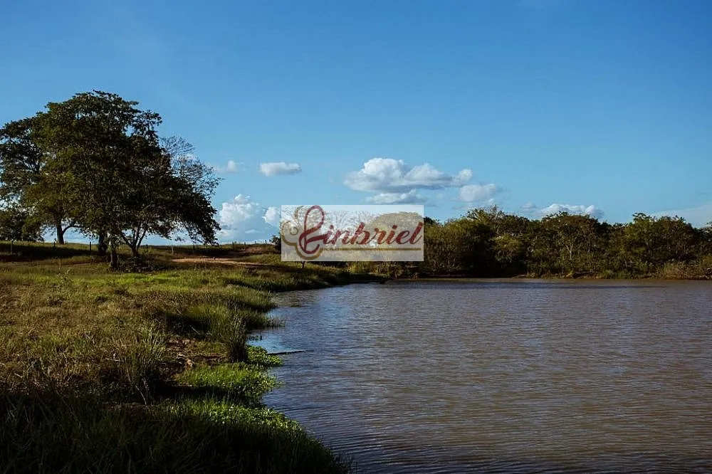 Fazenda, 570 hectares - Foto 2