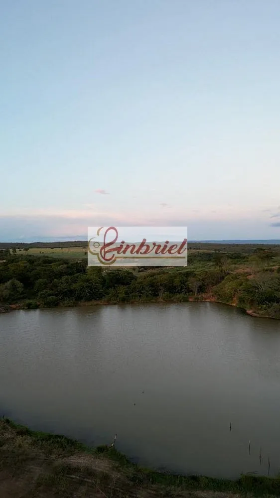 Fazenda, 570 hectares - Foto 3
