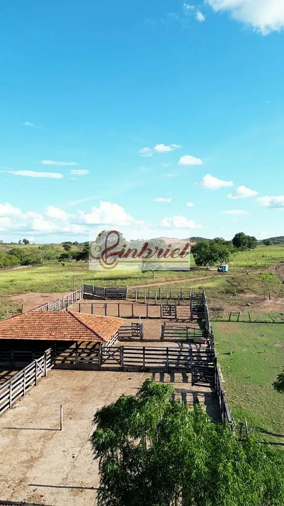 Fazenda, 570 hectares - Foto 1