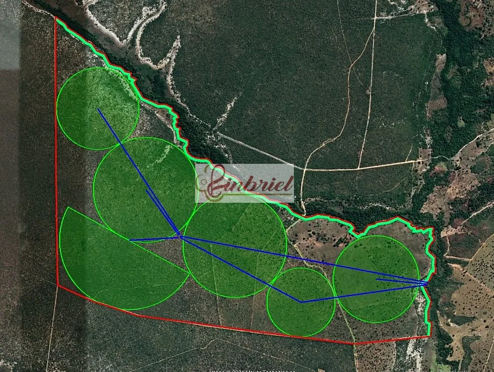 Fazenda, 503 hectares - Foto 2