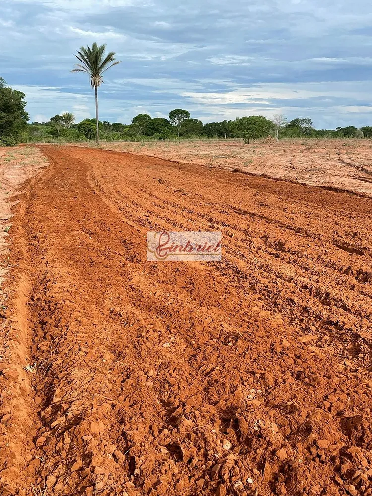 Fazenda, 503 hectares - Foto 4