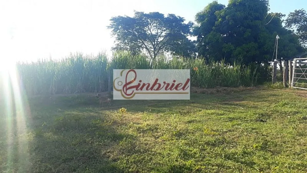 Fazenda, 1100 hectares - Foto 16