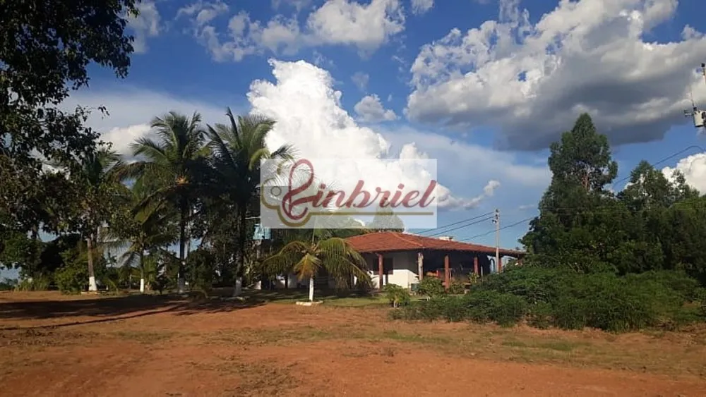Fazenda, 1100 hectares - Foto 8