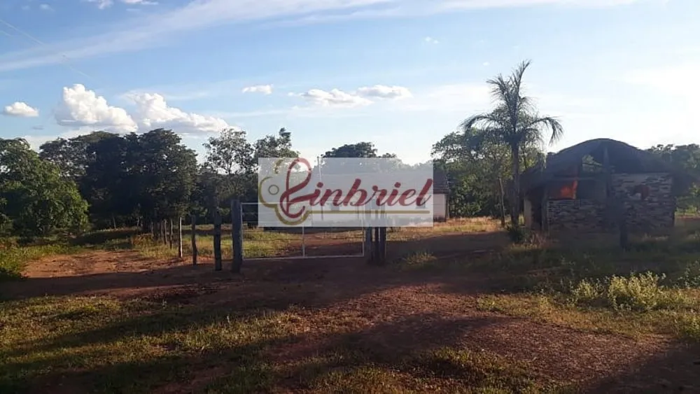 Fazenda, 1100 hectares - Foto 13