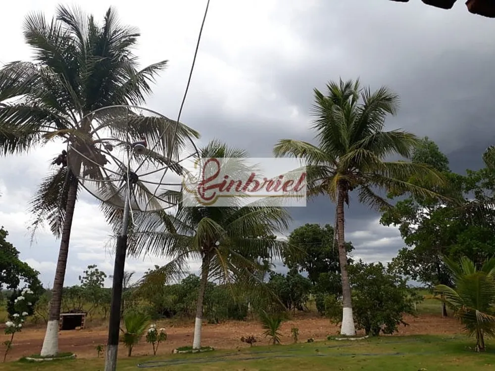 Fazenda, 1100 hectares - Foto 6