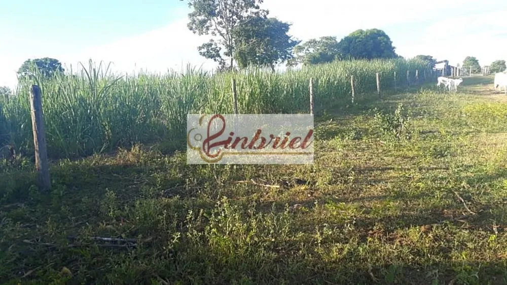 Fazenda, 1100 hectares - Foto 2