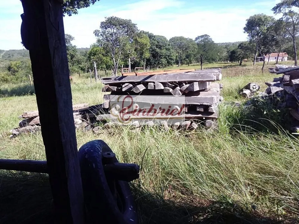 Fazenda, 1100 hectares - Foto 4