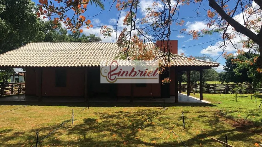 Fazenda, 6327 hectares - Foto 3