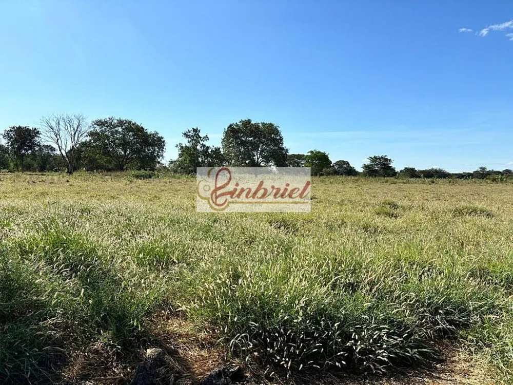 Fazenda, 6327 hectares - Foto 9