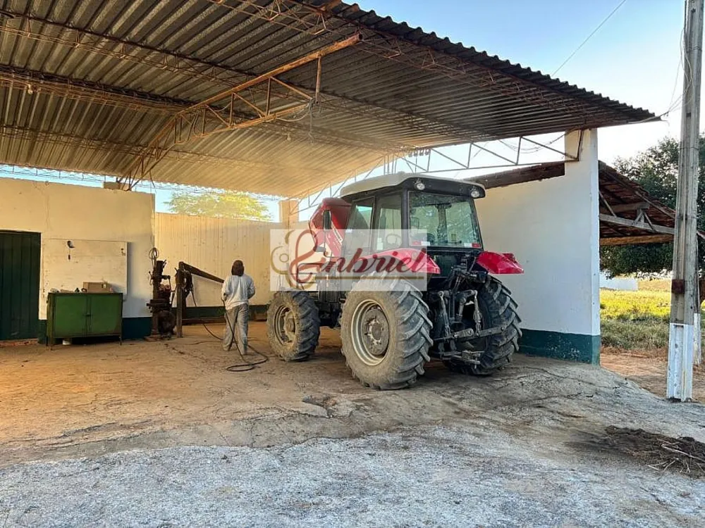 Fazenda, 6327 hectares - Foto 7
