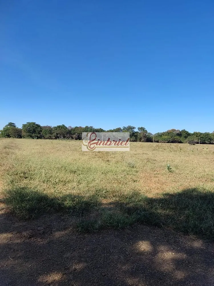 Fazenda, 6327 hectares - Foto 4