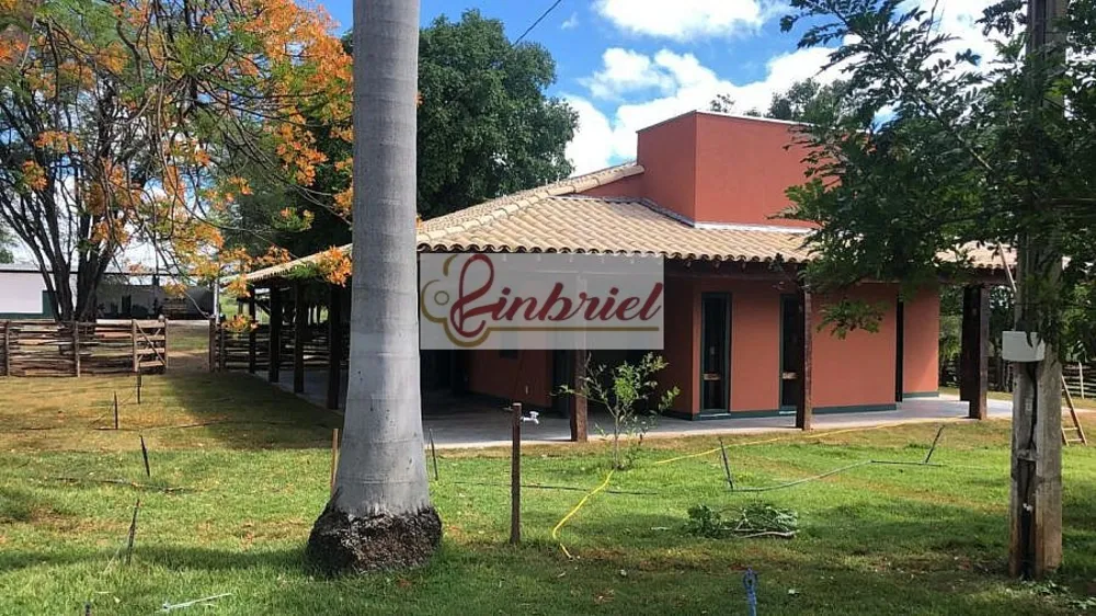 Fazenda, 6327 hectares - Foto 6