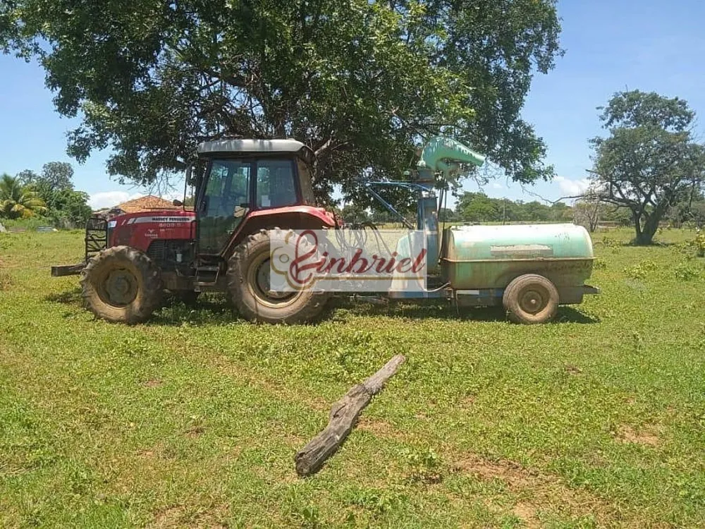 Fazenda, 6327 hectares - Foto 8