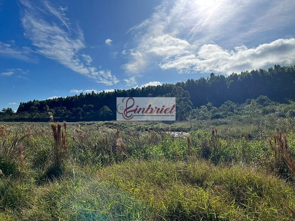 Fazenda, 230 hectares - Foto 7