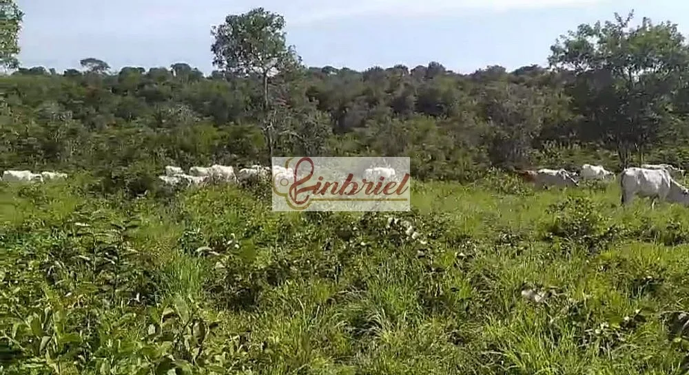 Fazenda, 230 hectares - Foto 1