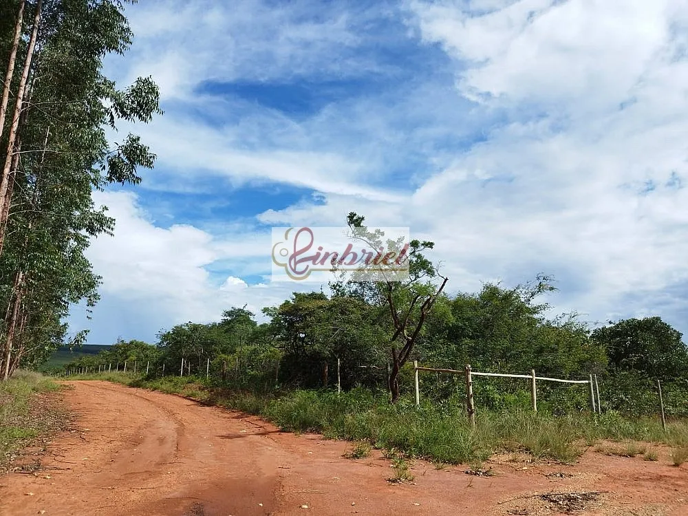 Fazenda, 230 hectares - Foto 6