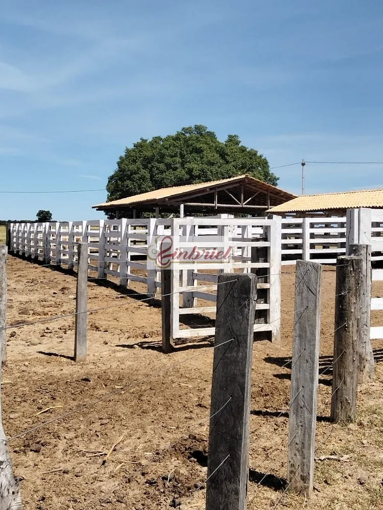 Fazenda, 620 hectares - Foto 8