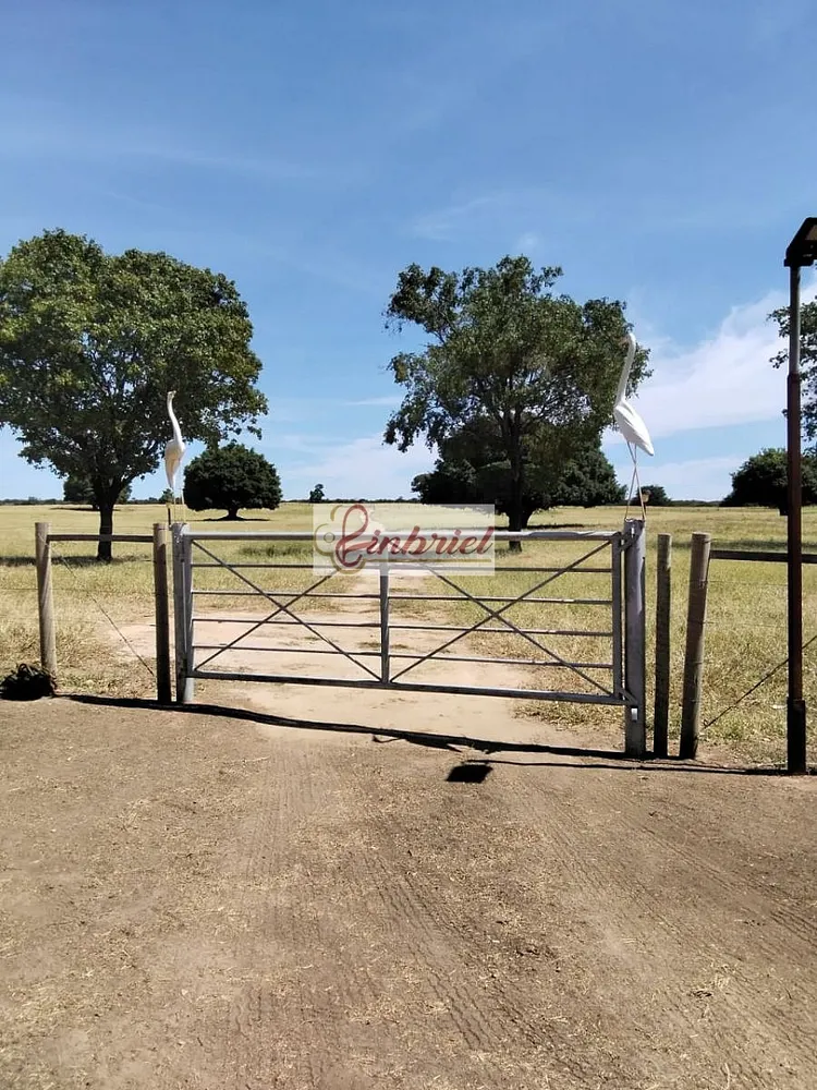 Fazenda, 620 hectares - Foto 2