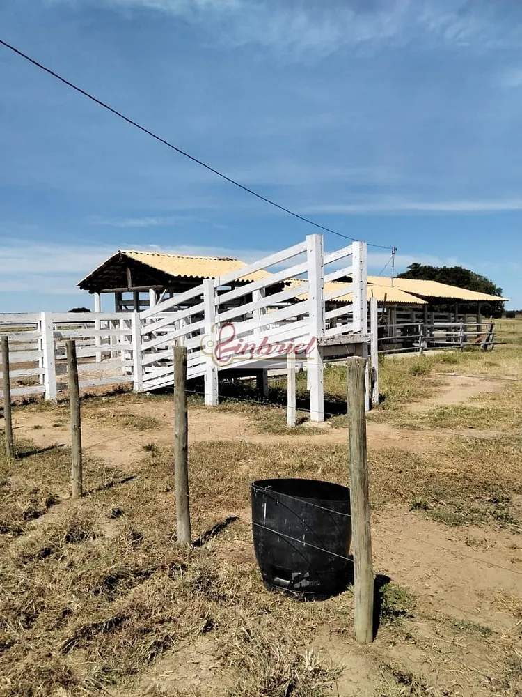 Fazenda, 620 hectares - Foto 6