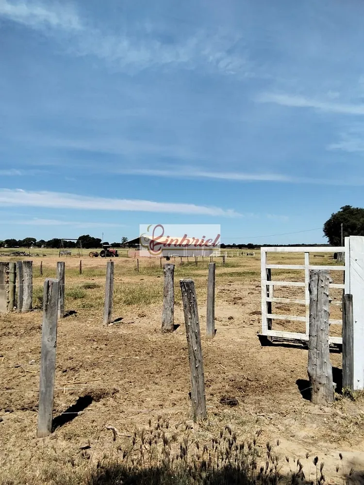 Fazenda, 620 hectares - Foto 4