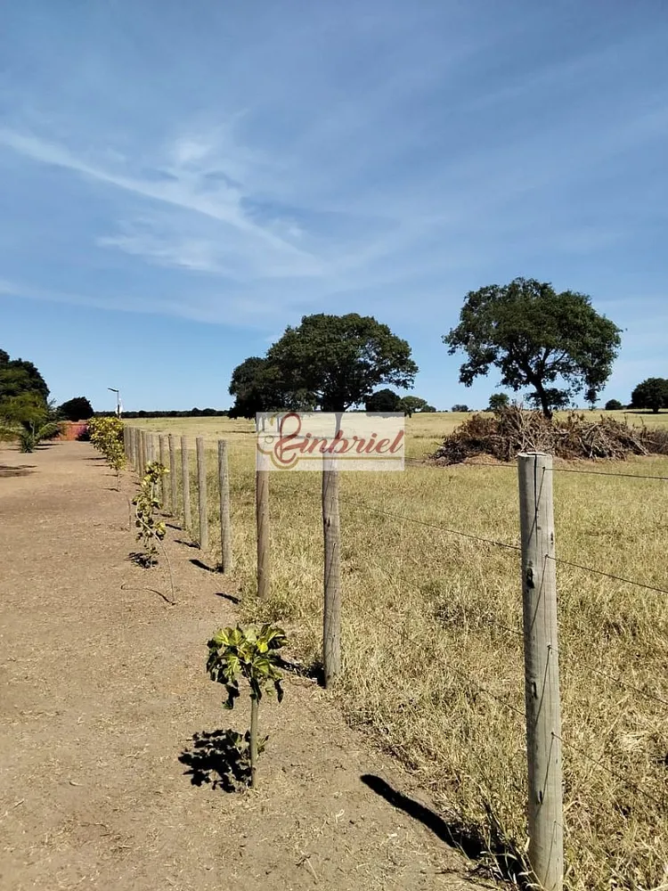 Fazenda, 620 hectares - Foto 10
