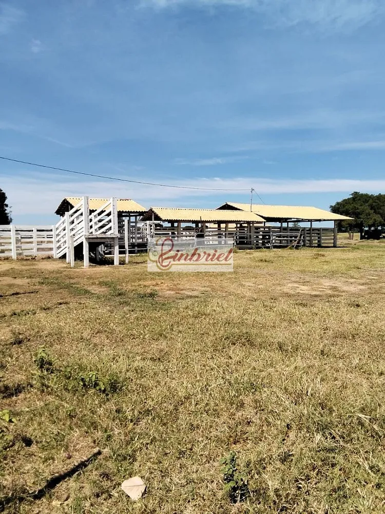 Fazenda, 620 hectares - Foto 3