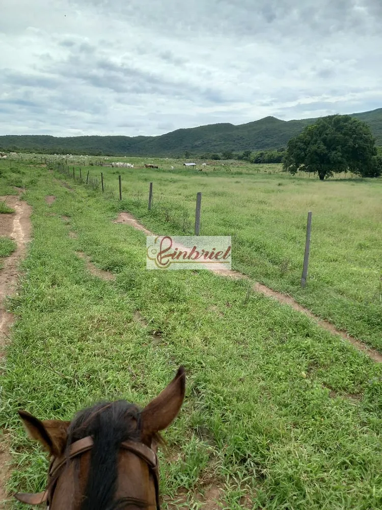 Fazenda, 430 hectares - Foto 8