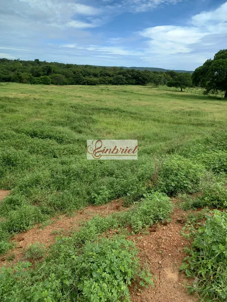 Fazenda, 430 hectares - Foto 2