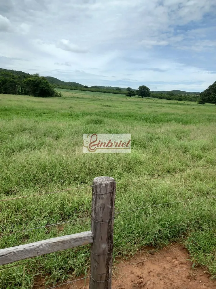 Fazenda, 430 hectares - Foto 1