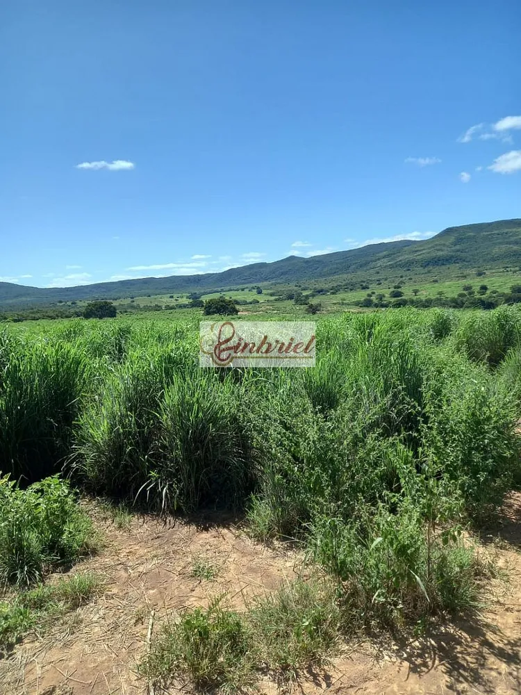 Fazenda, 430 hectares - Foto 6