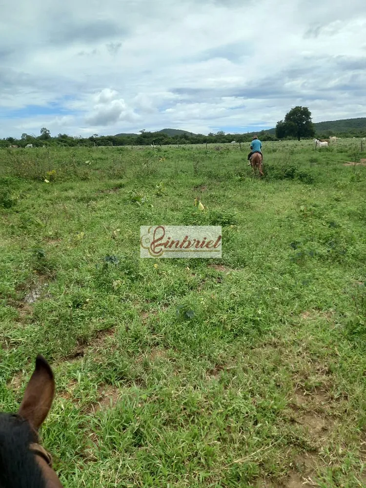 Fazenda, 430 hectares - Foto 10