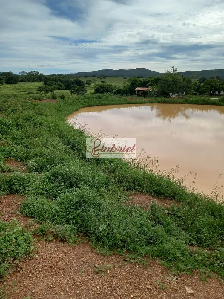 Fazenda, 430 hectares - Foto 9