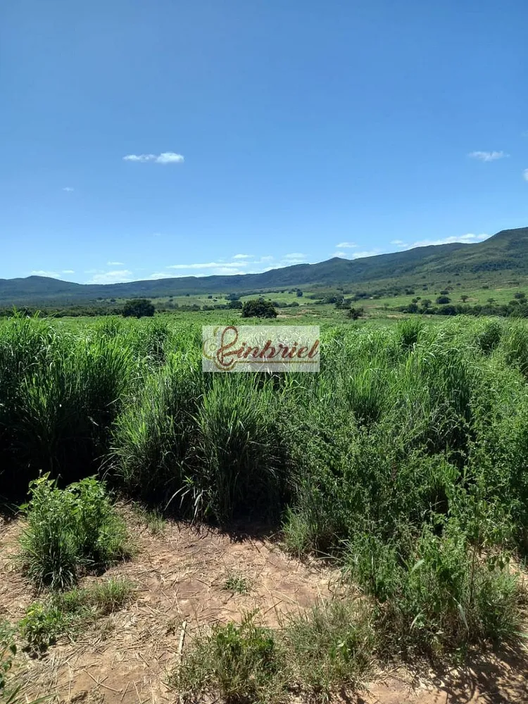 Fazenda, 430 hectares - Foto 12