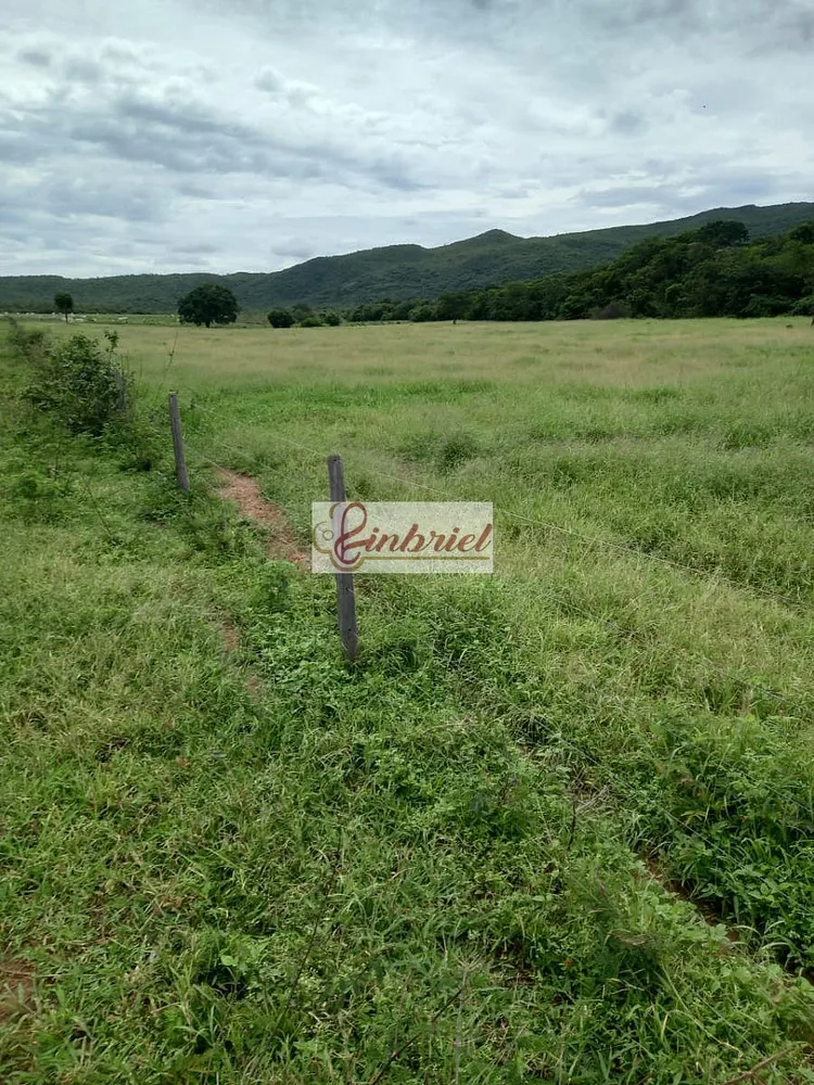 Fazenda, 430 hectares - Foto 3