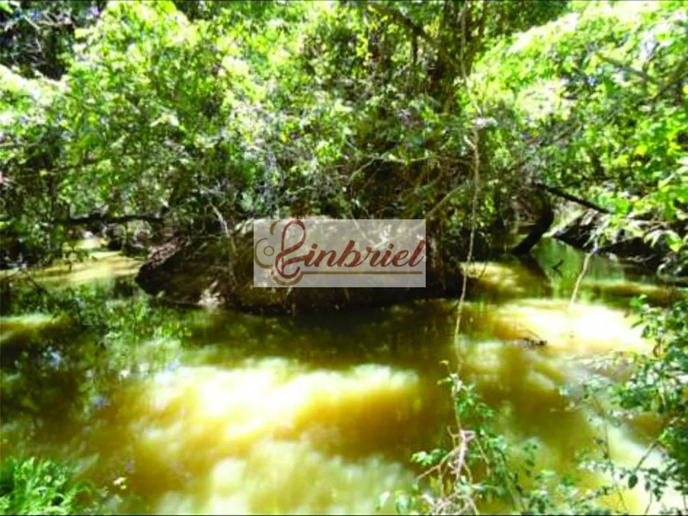 Fazenda, 1350 hectares - Foto 12