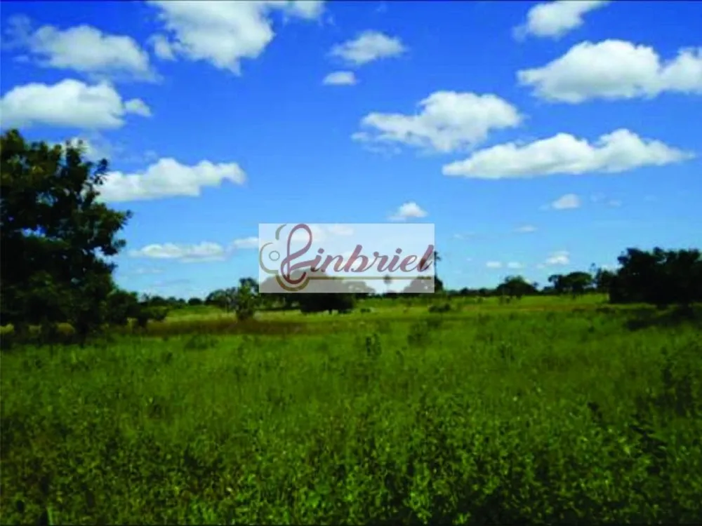 Fazenda, 1350 hectares - Foto 14