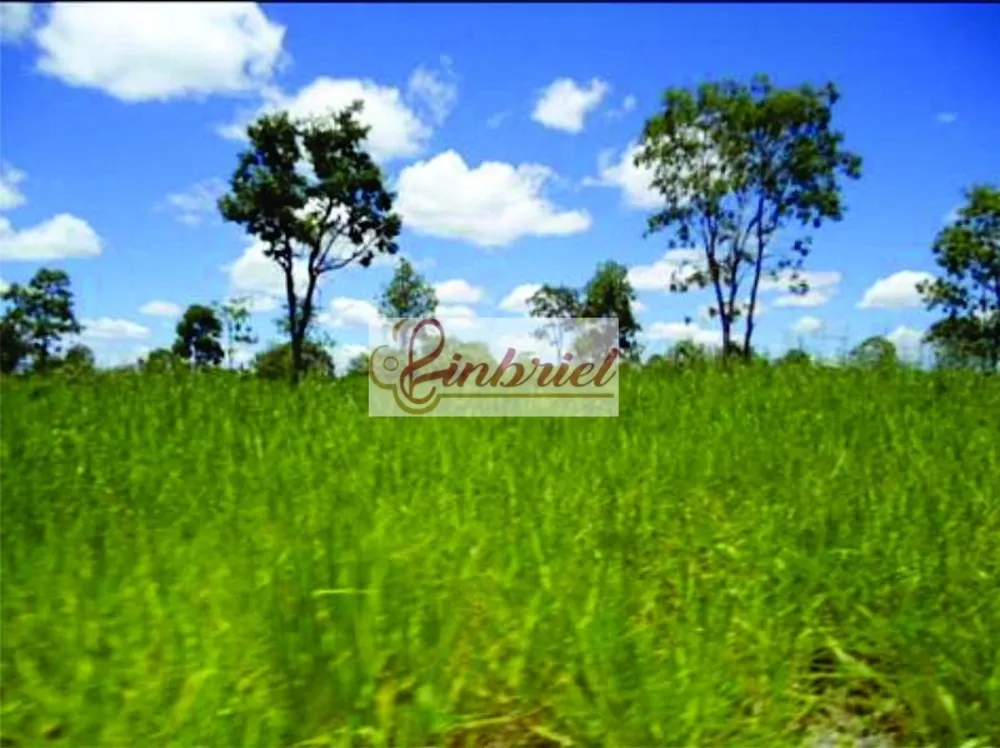 Fazenda, 1350 hectares - Foto 1