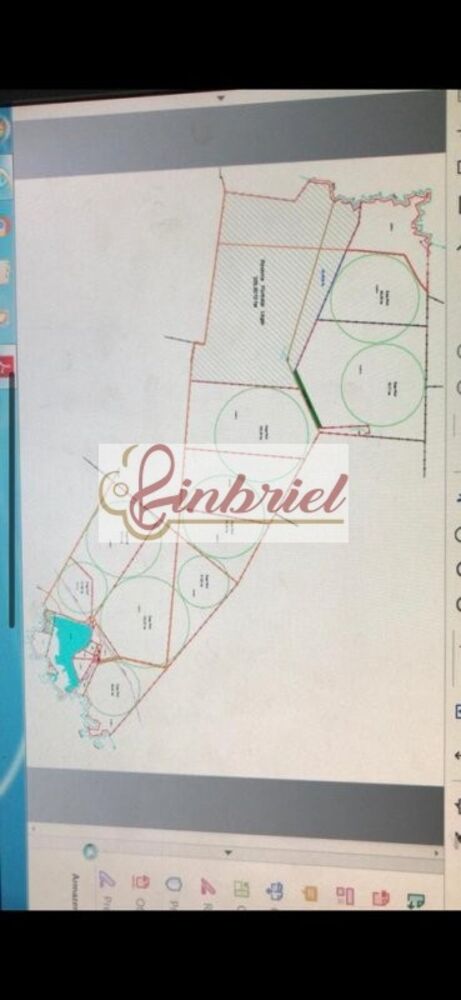 Fazenda, 1350 hectares - Foto 3