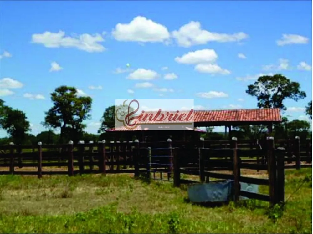 Fazenda, 1350 hectares - Foto 4