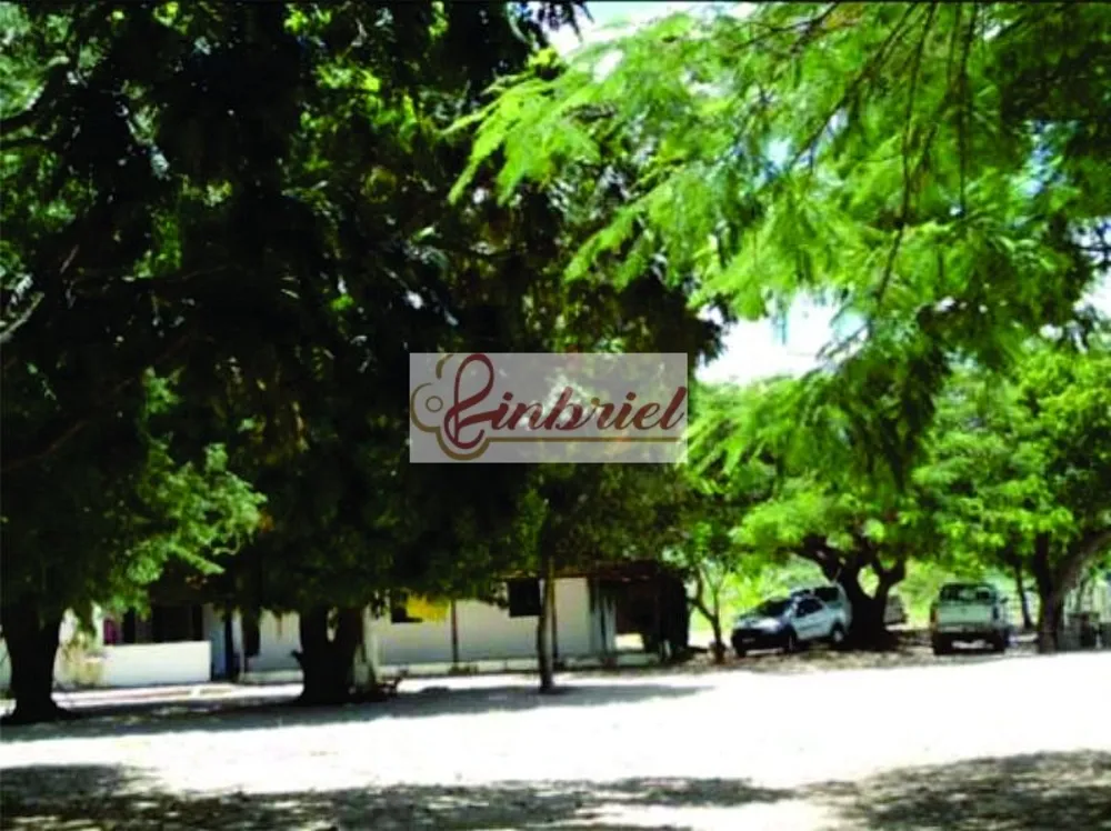 Fazenda, 1350 hectares - Foto 6