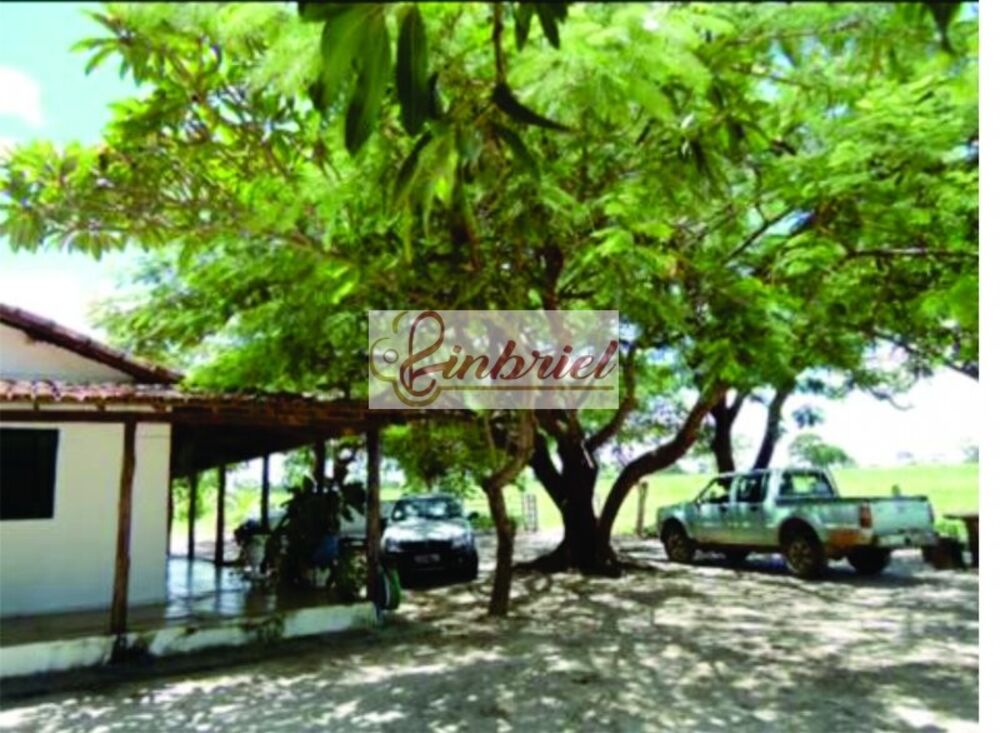 Fazenda, 1350 hectares - Foto 1